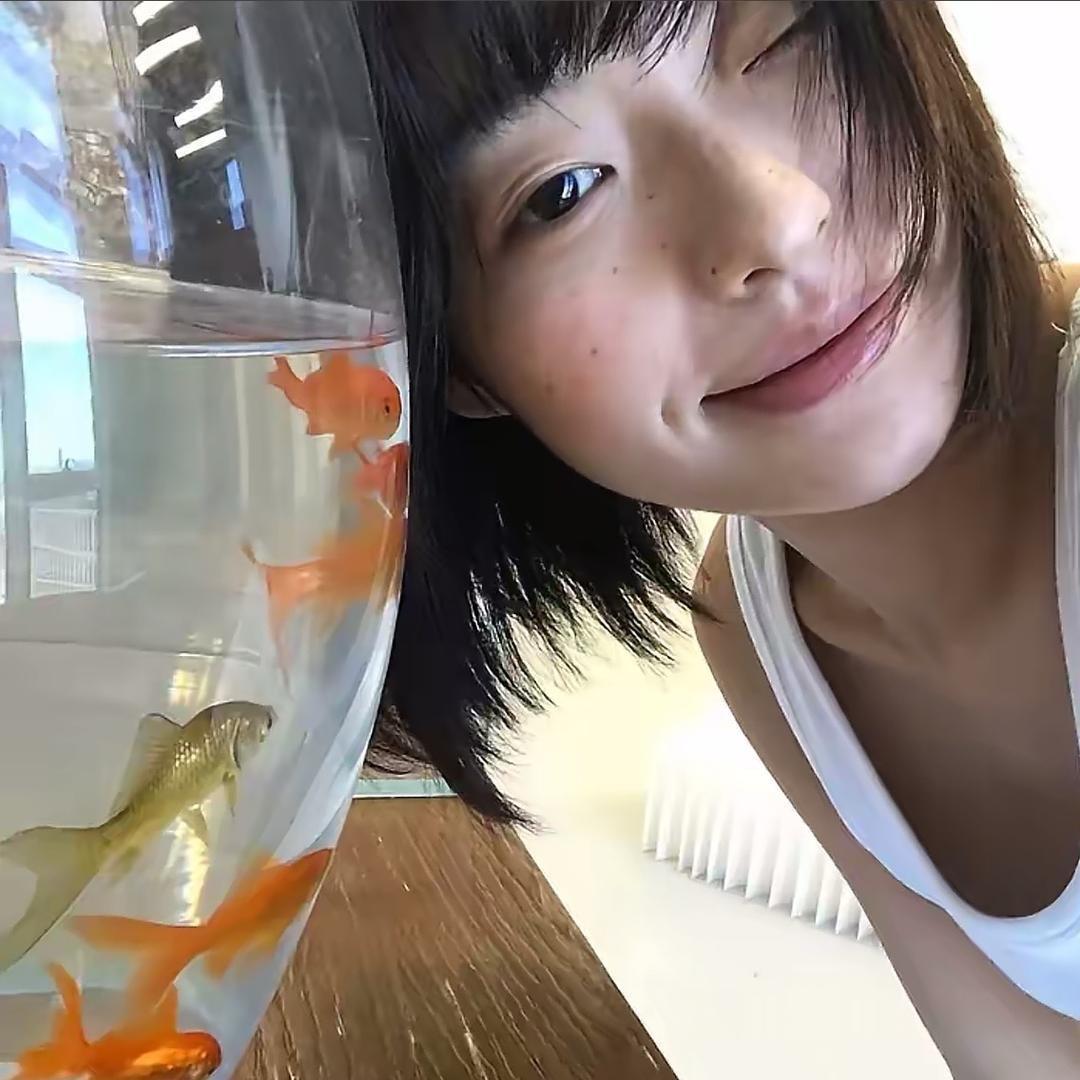 小羊.