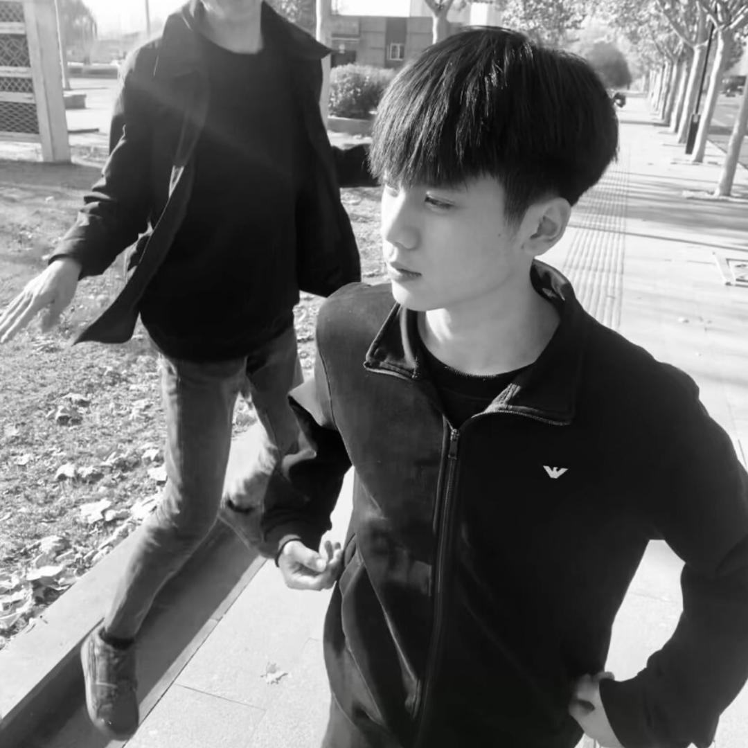 小齐的🇨🇳H5（红旗婚车车队）