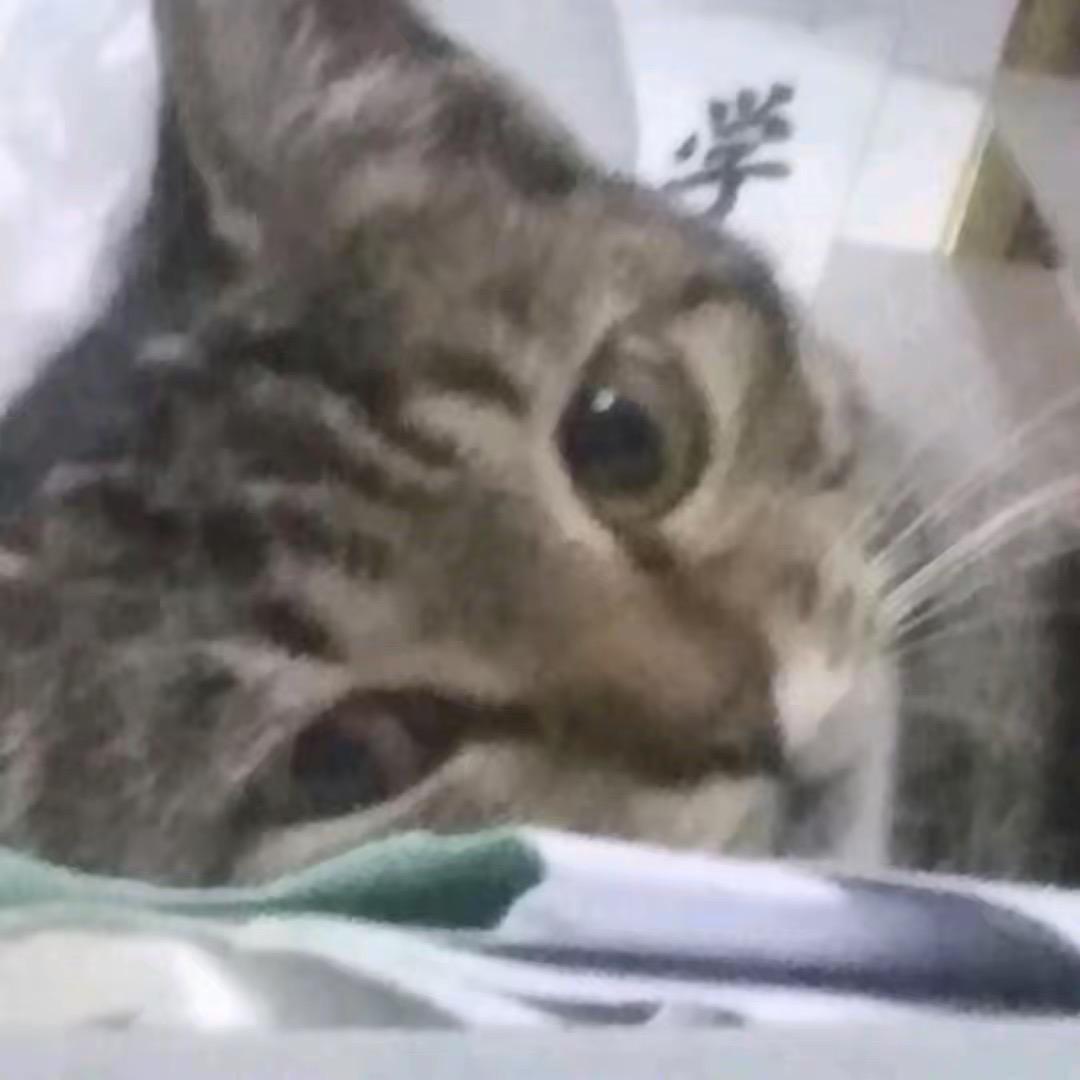 我也不知道^_^