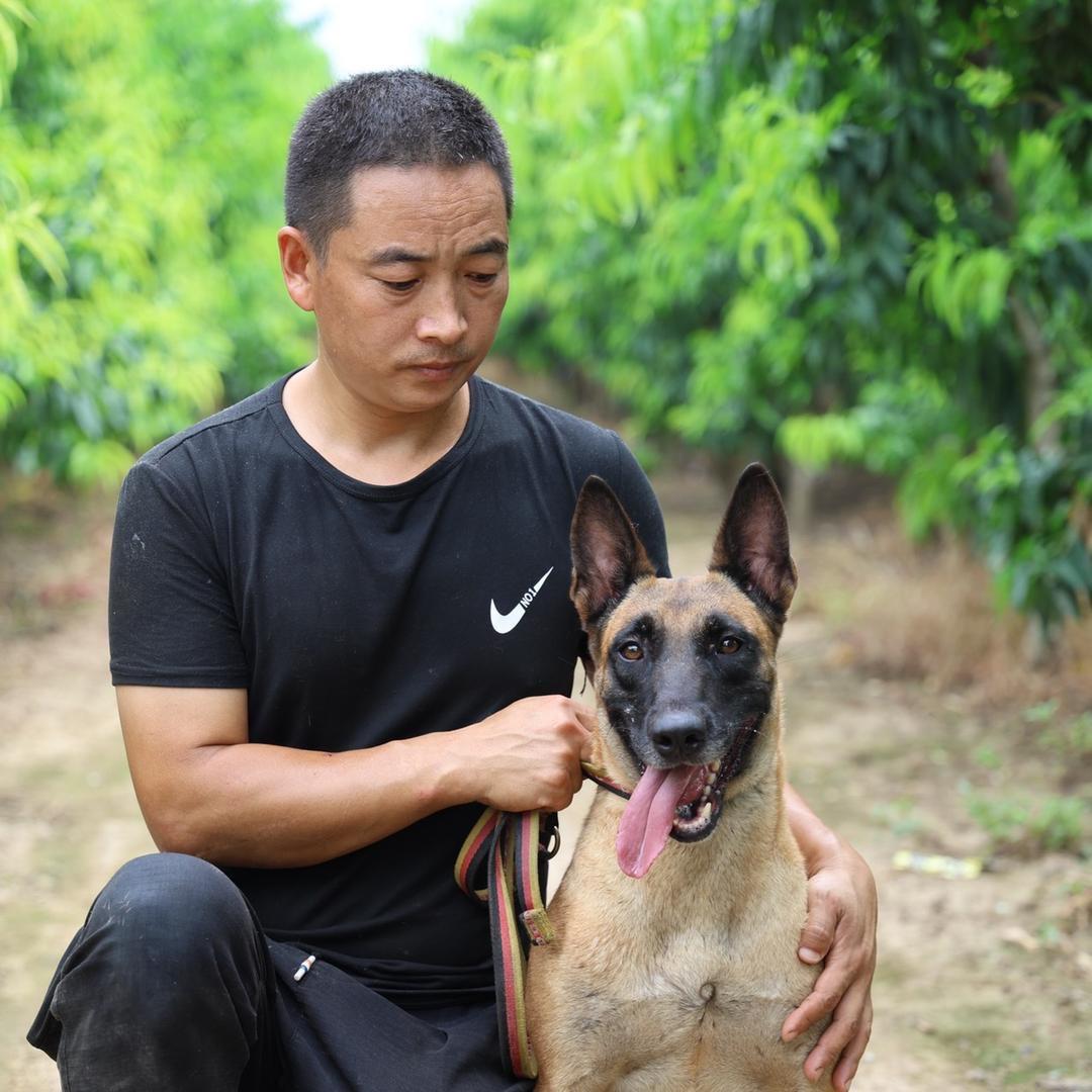 凤湖犬舍生活号