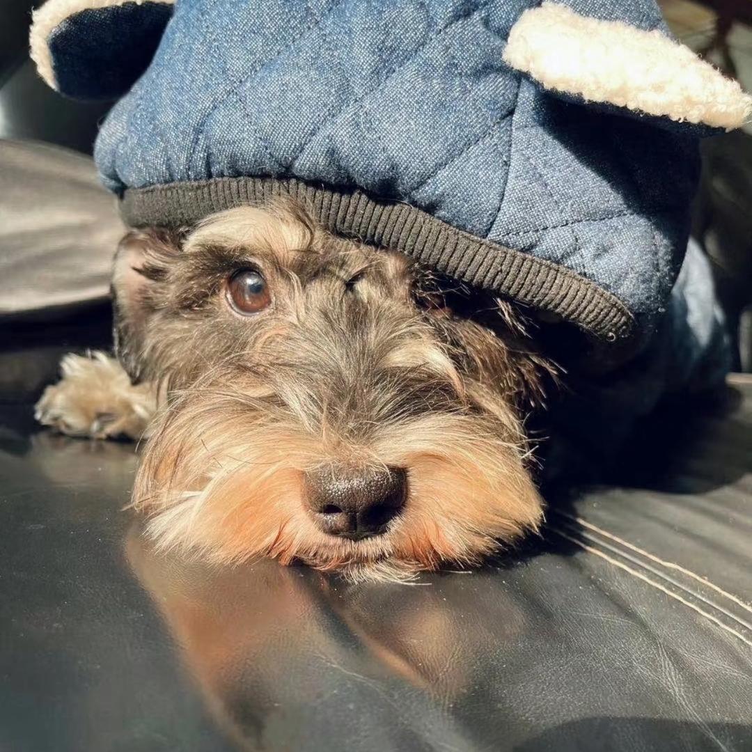 小鱼🐟🐟