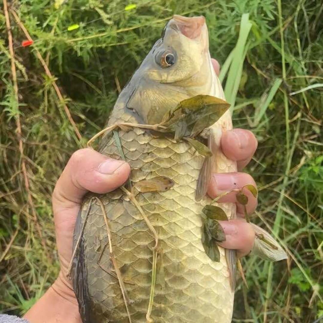 渔之源好物