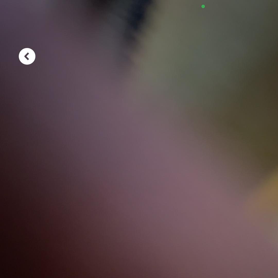 高原野牦牛土特产店