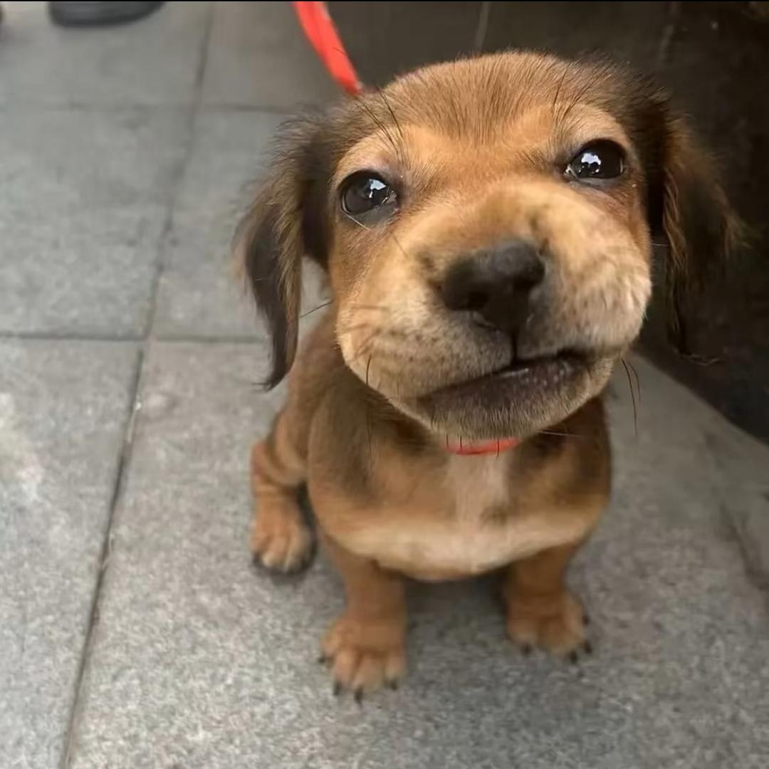 老.