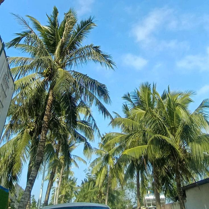 遇见海南