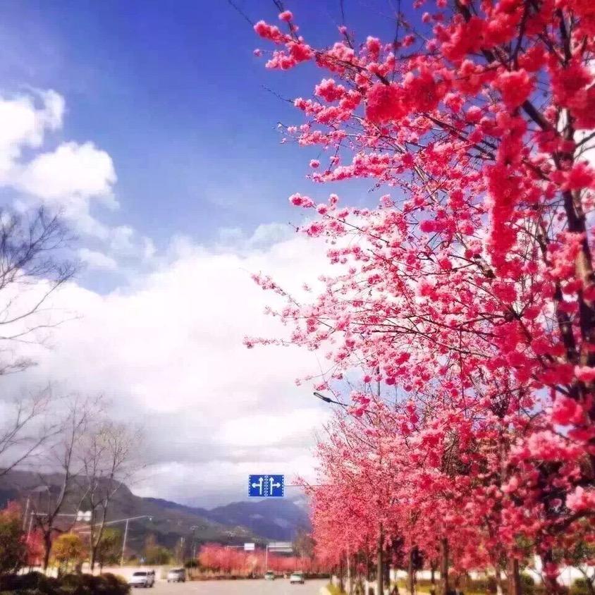 緣份dё忝╰空