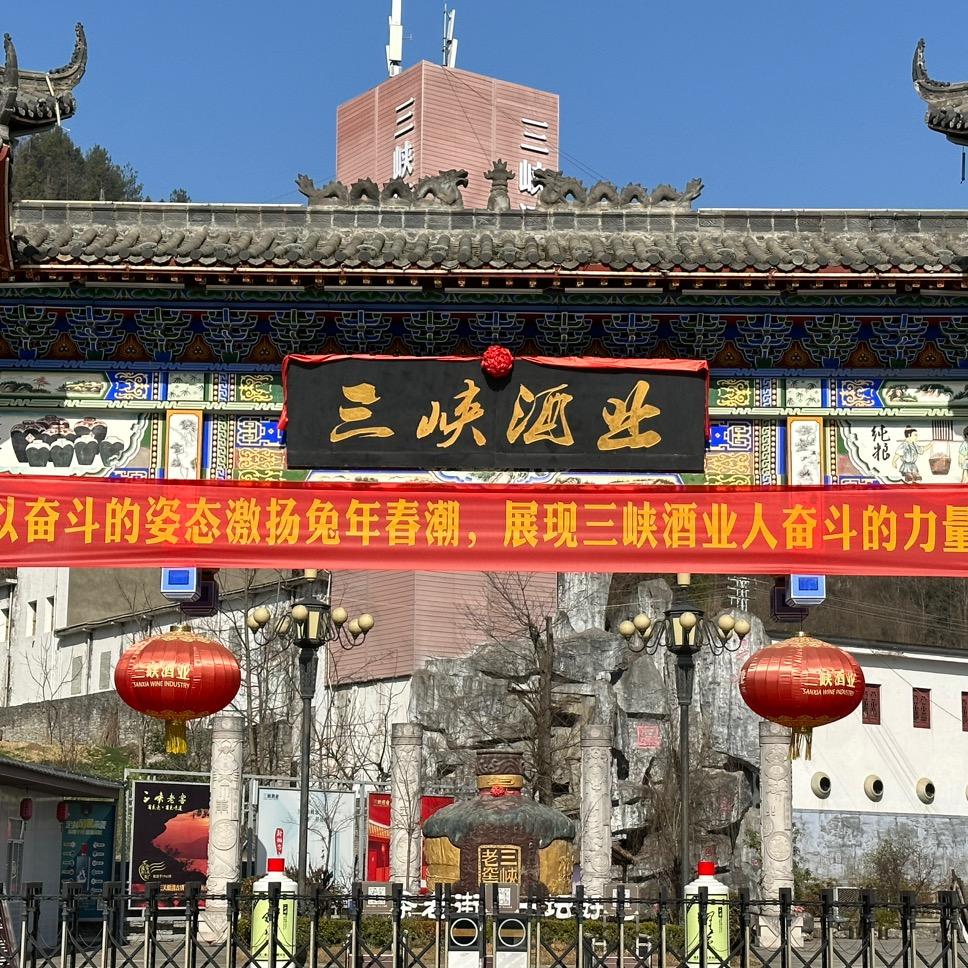 三峡酒业 王丹阳