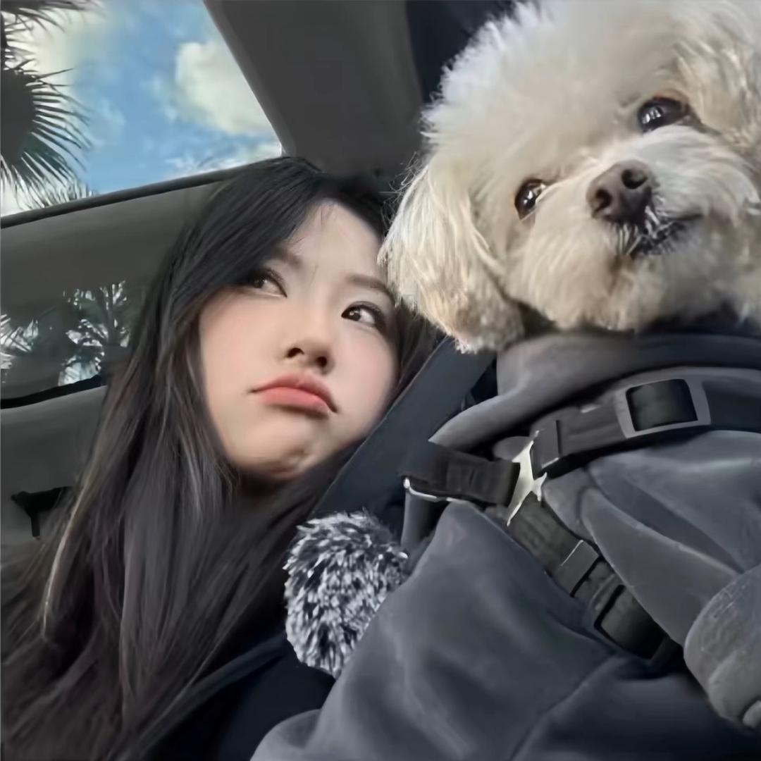 佩奇