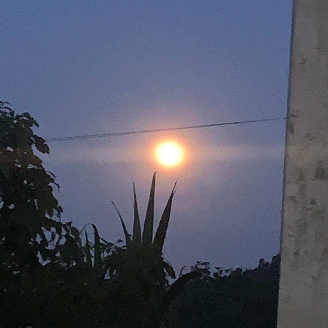 什么时候改的名字