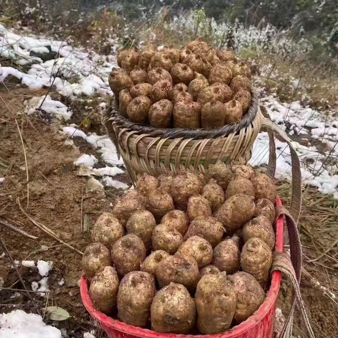 六号果仓农产品优选