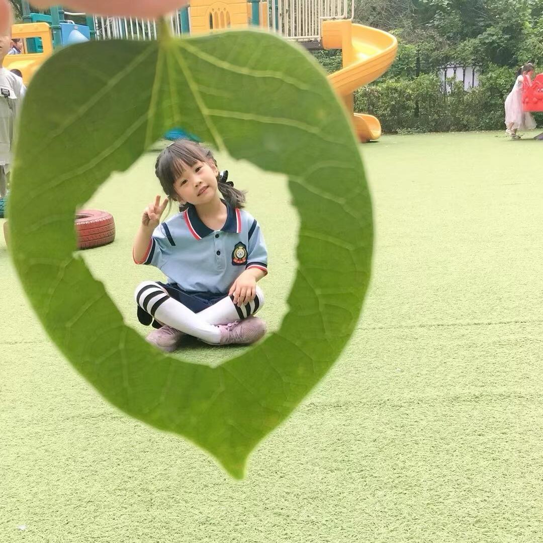 鹤壁市淇滨区书香铭苑幼儿园李园长🌷