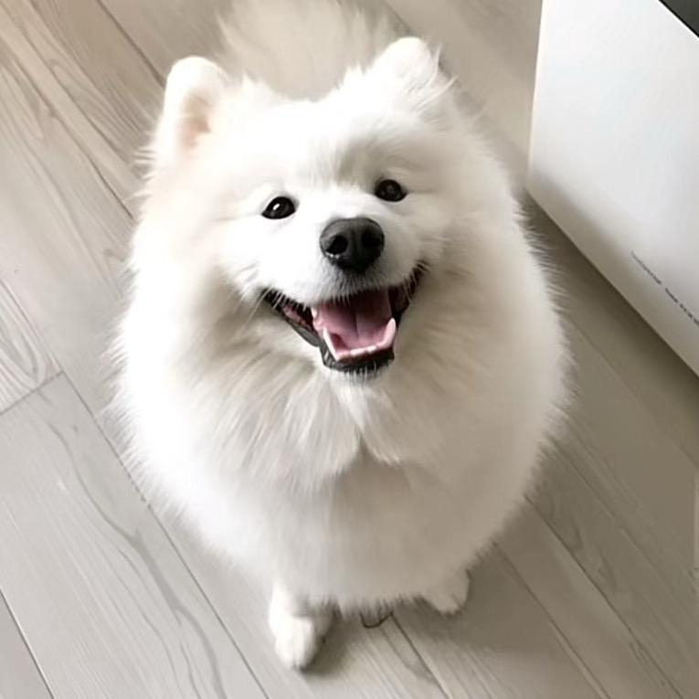 哈密瓜