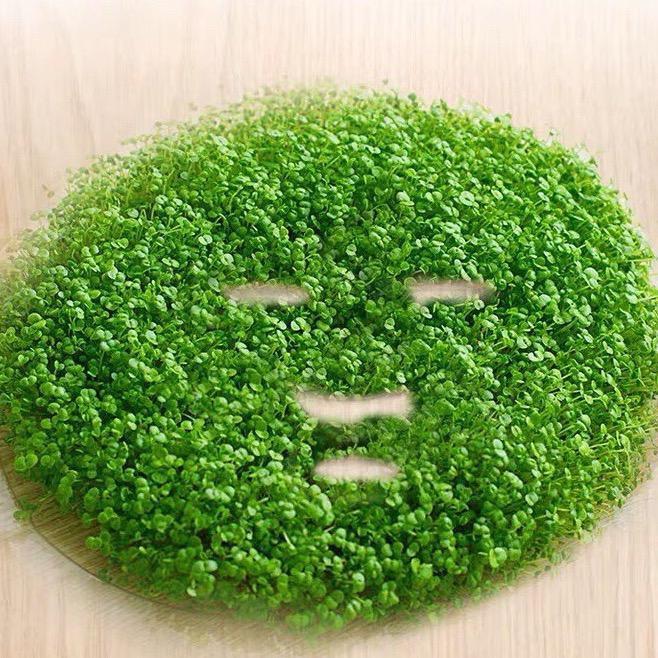 健之恋广州健之恋生物科技有限公司护肤专卖店