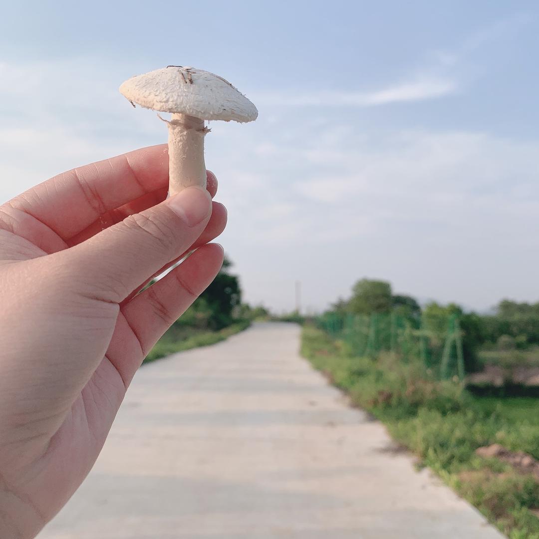 艾特赫特大码男装