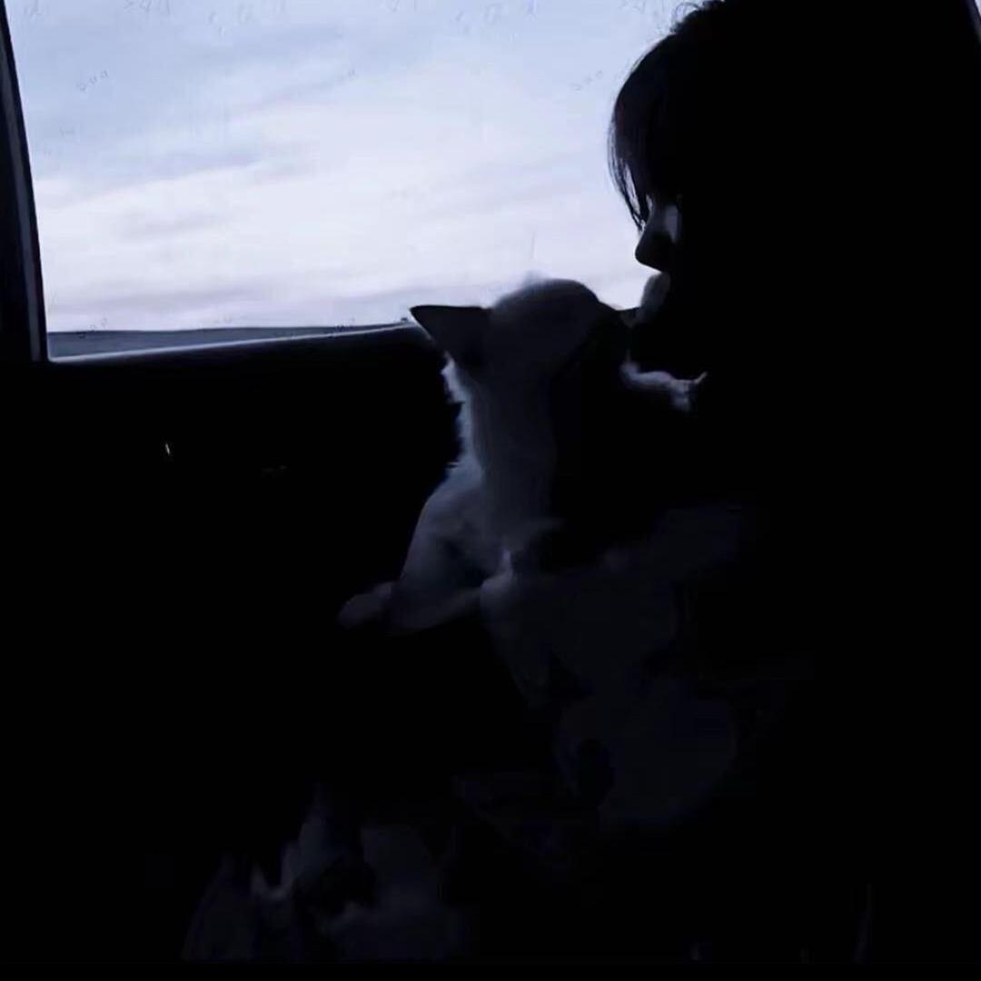 犯困