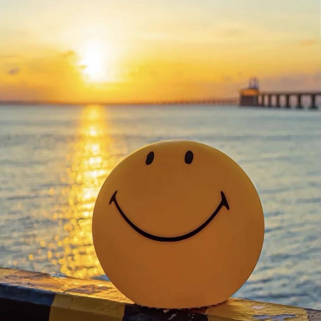 沈丘县副哈就百货店