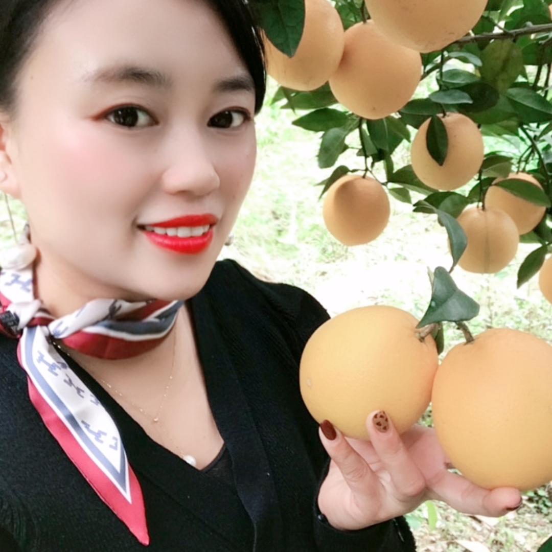 淡若清风🍊