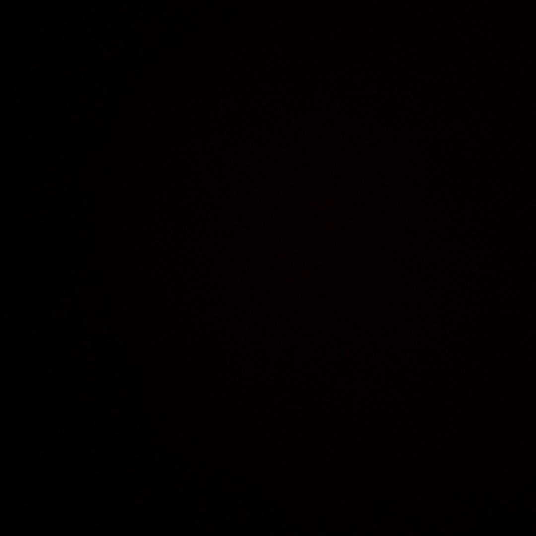 小龙蛋