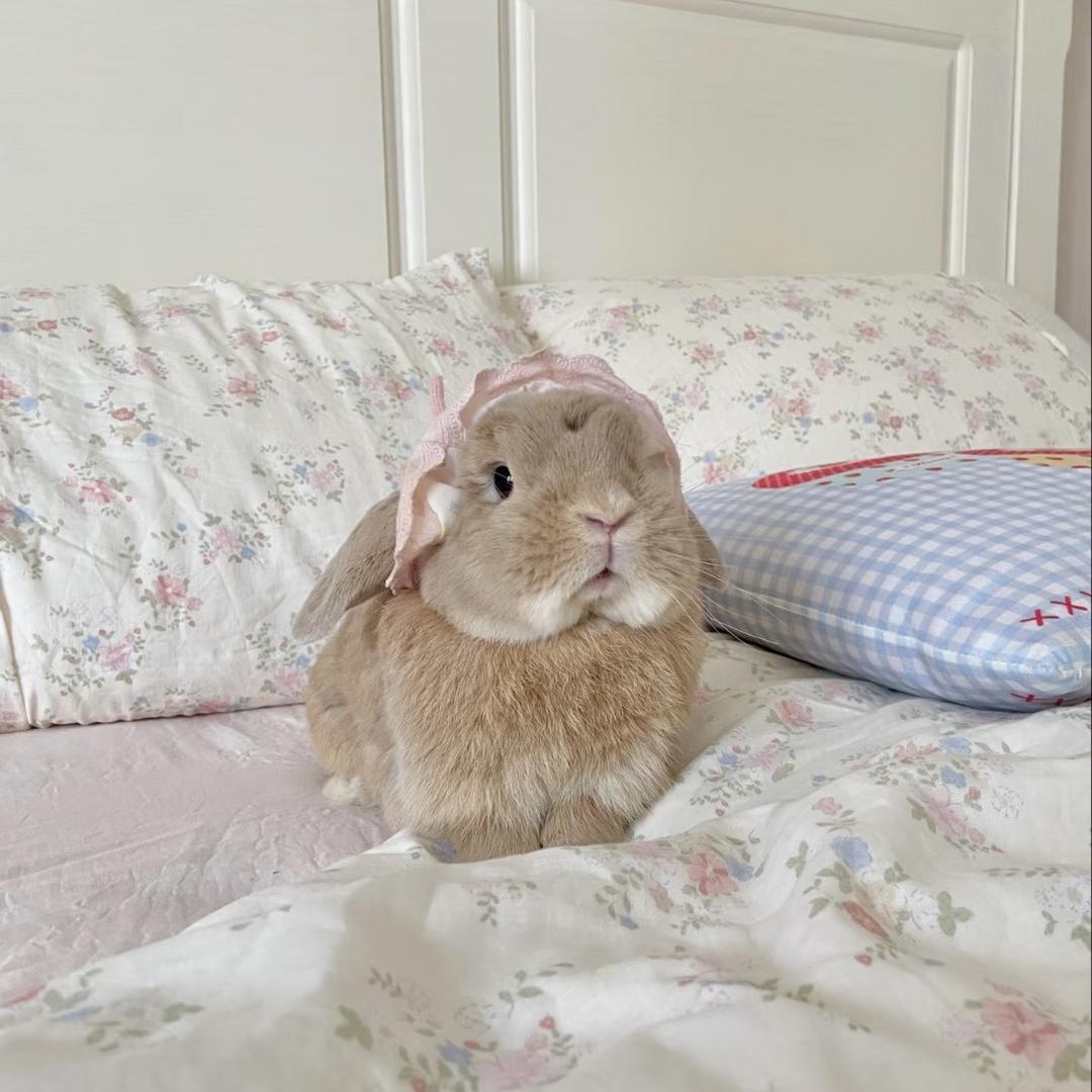 睡个好觉就行了