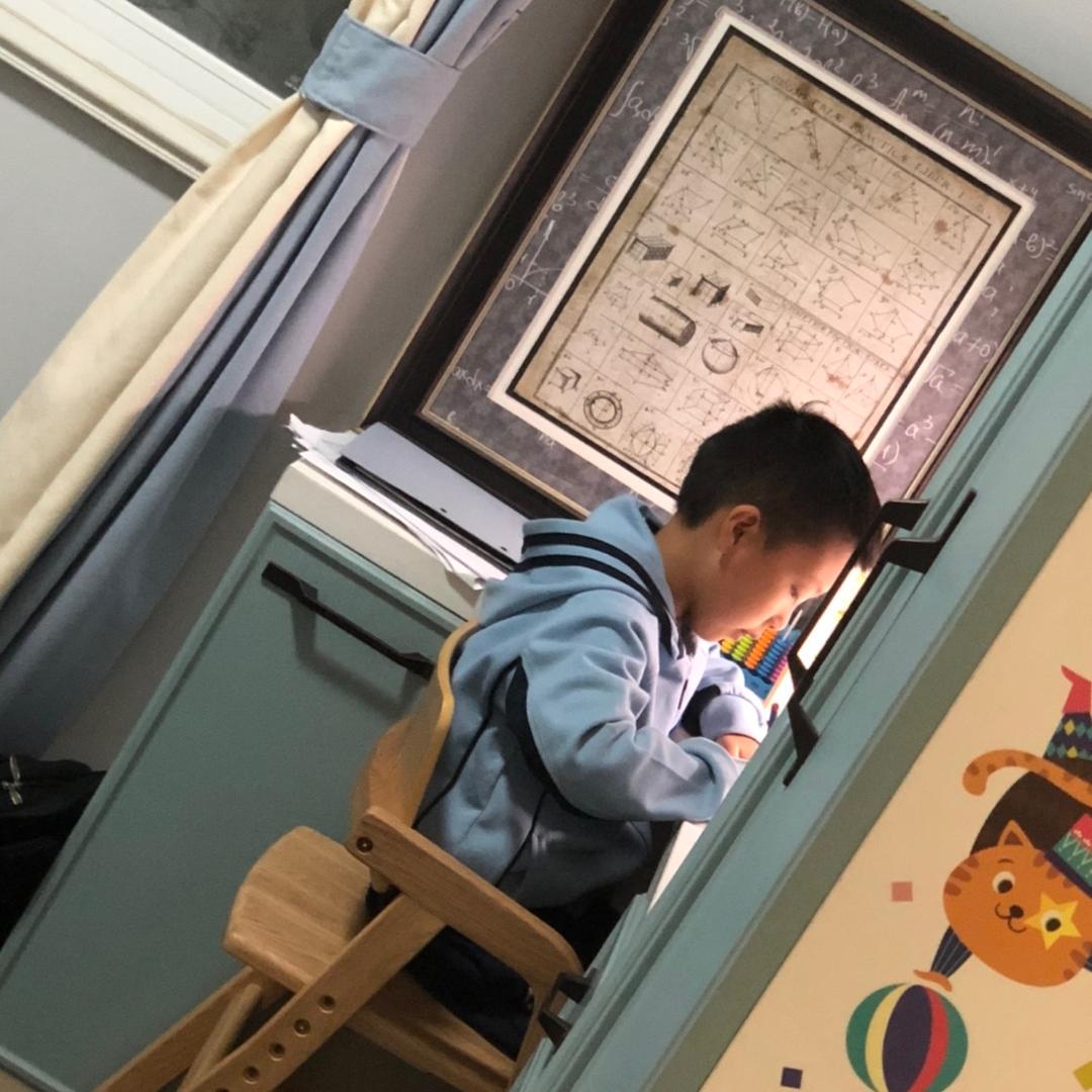 枫叶周墨23号