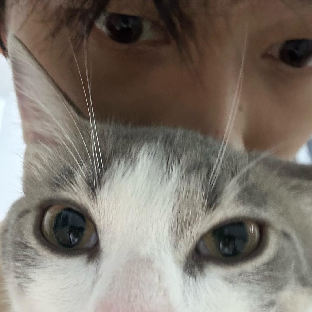 AA猪肉批发黎师傅