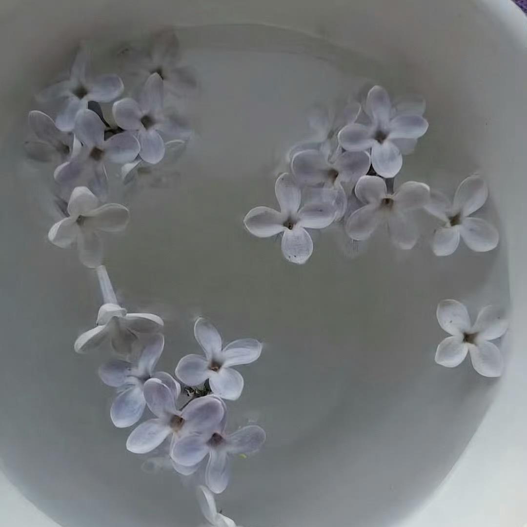 分手薅你猫毛