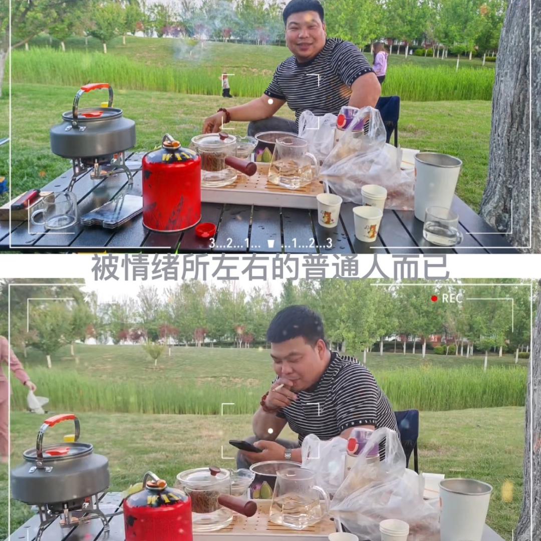 醎暘.小周•意难平•暴走怪授