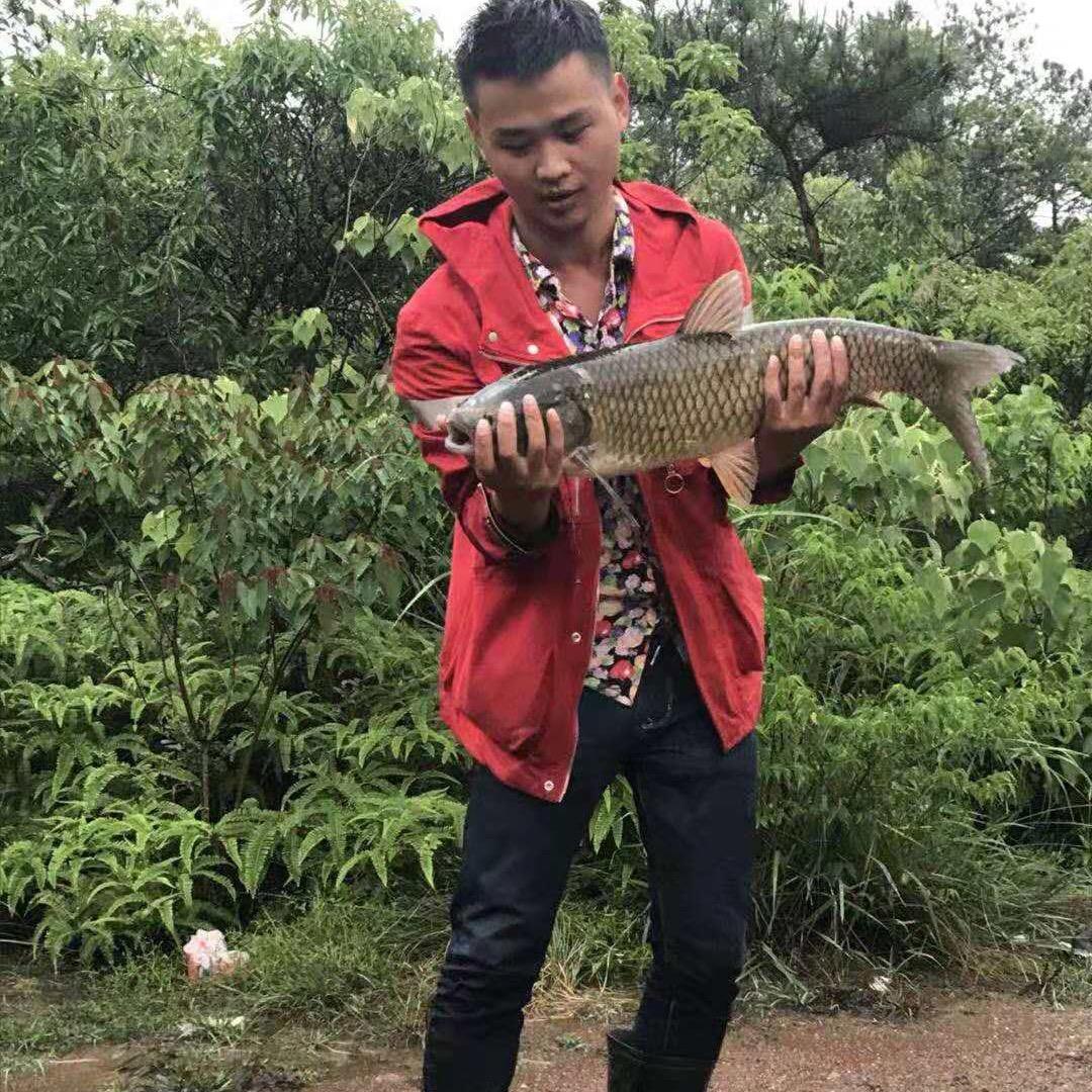钓鱼人(药哥)