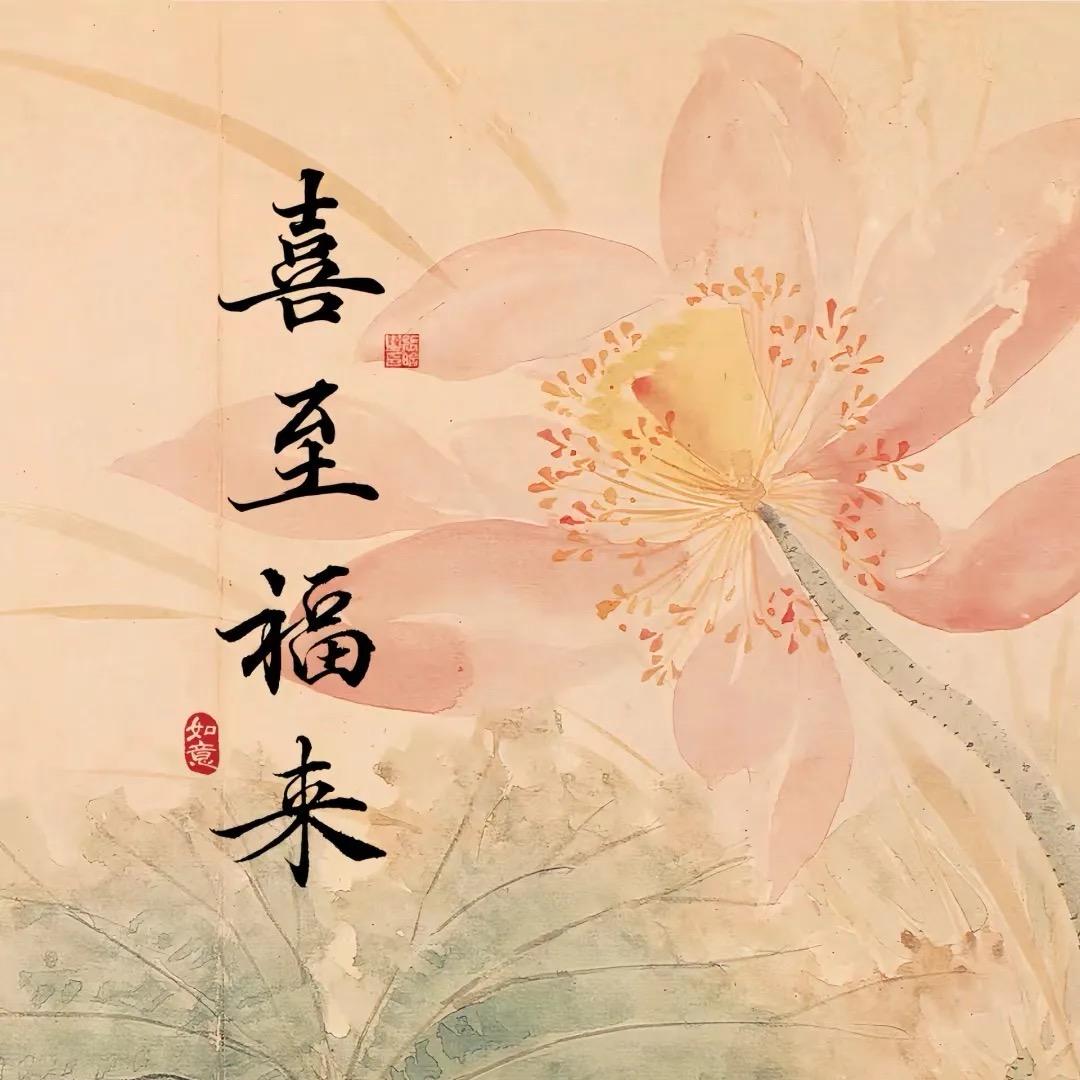 荷花养生