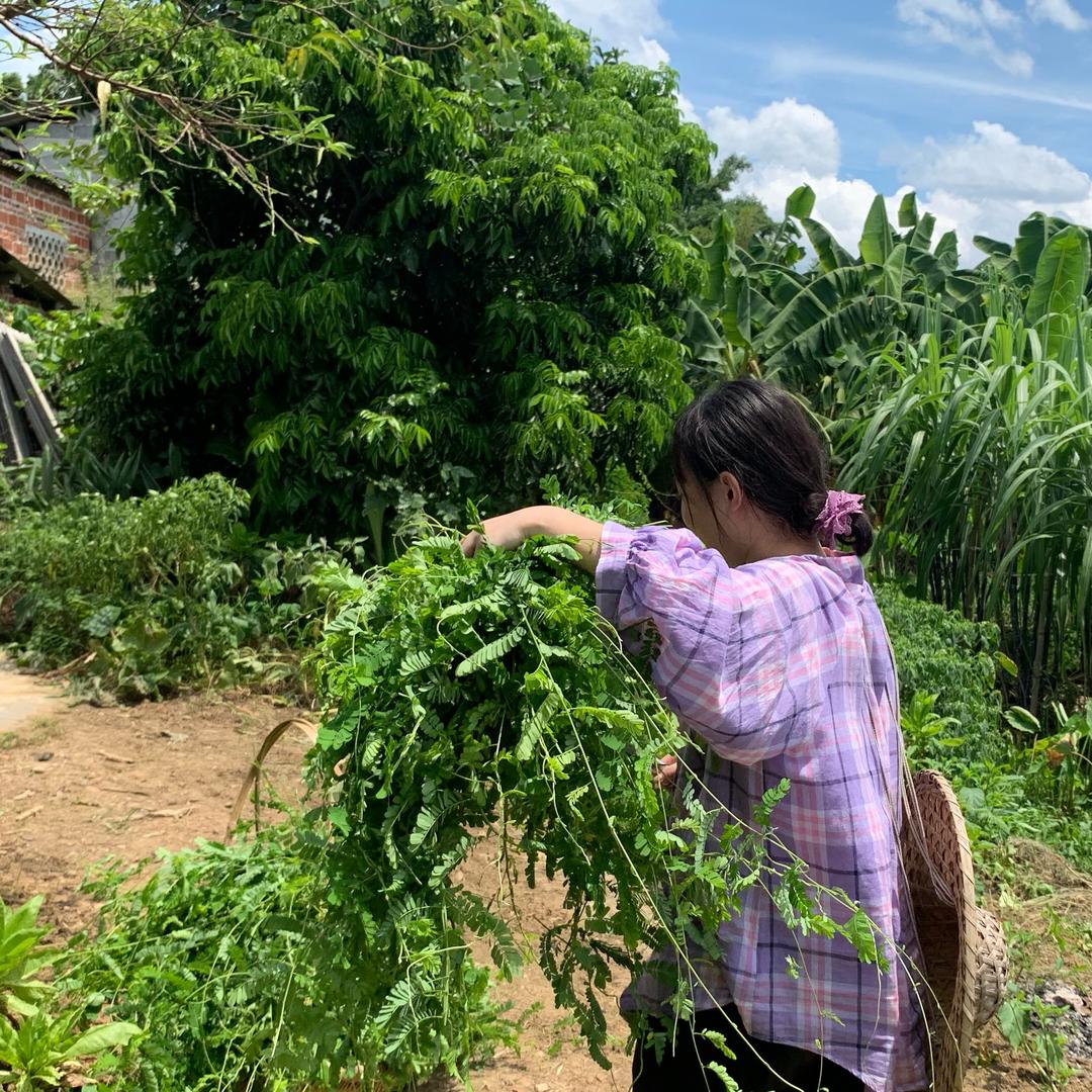 小季