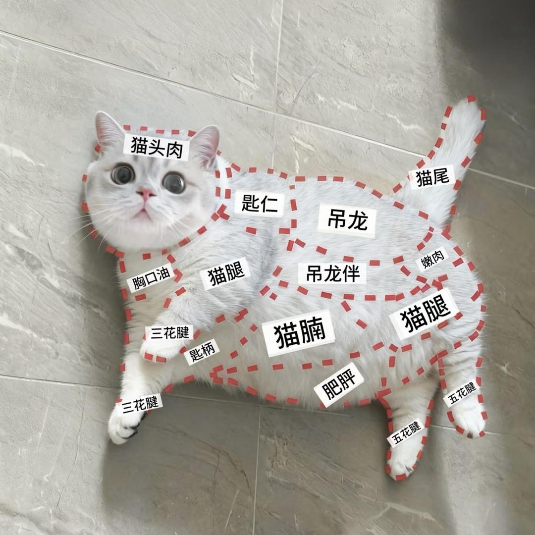 小胖做火锅