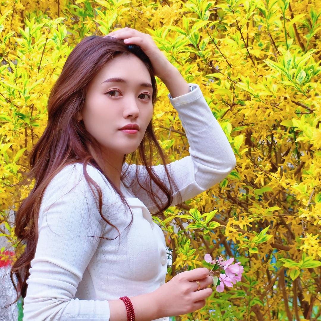 美7