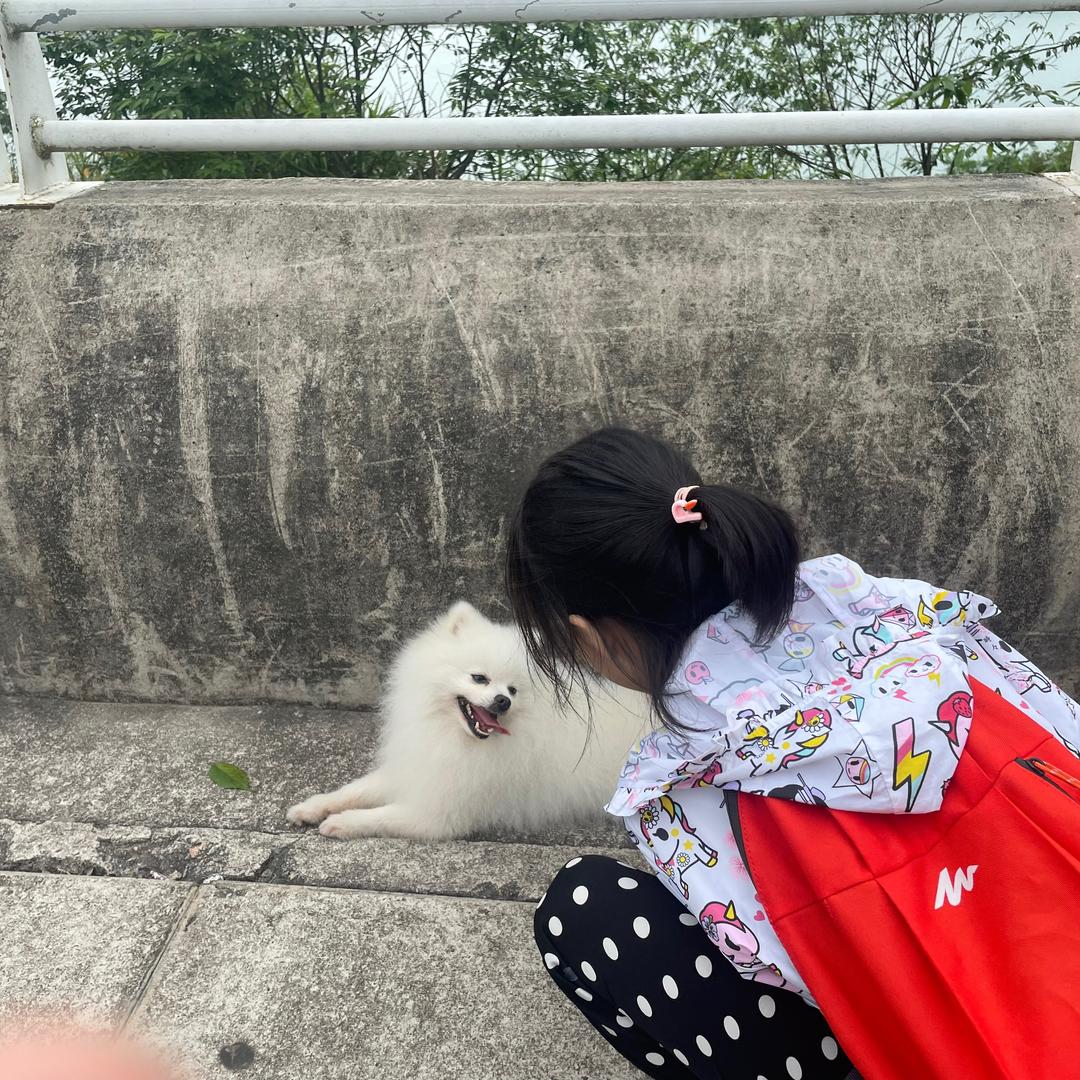 小诺