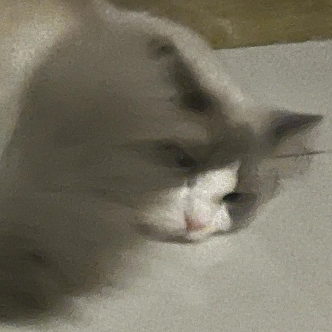 我好帅