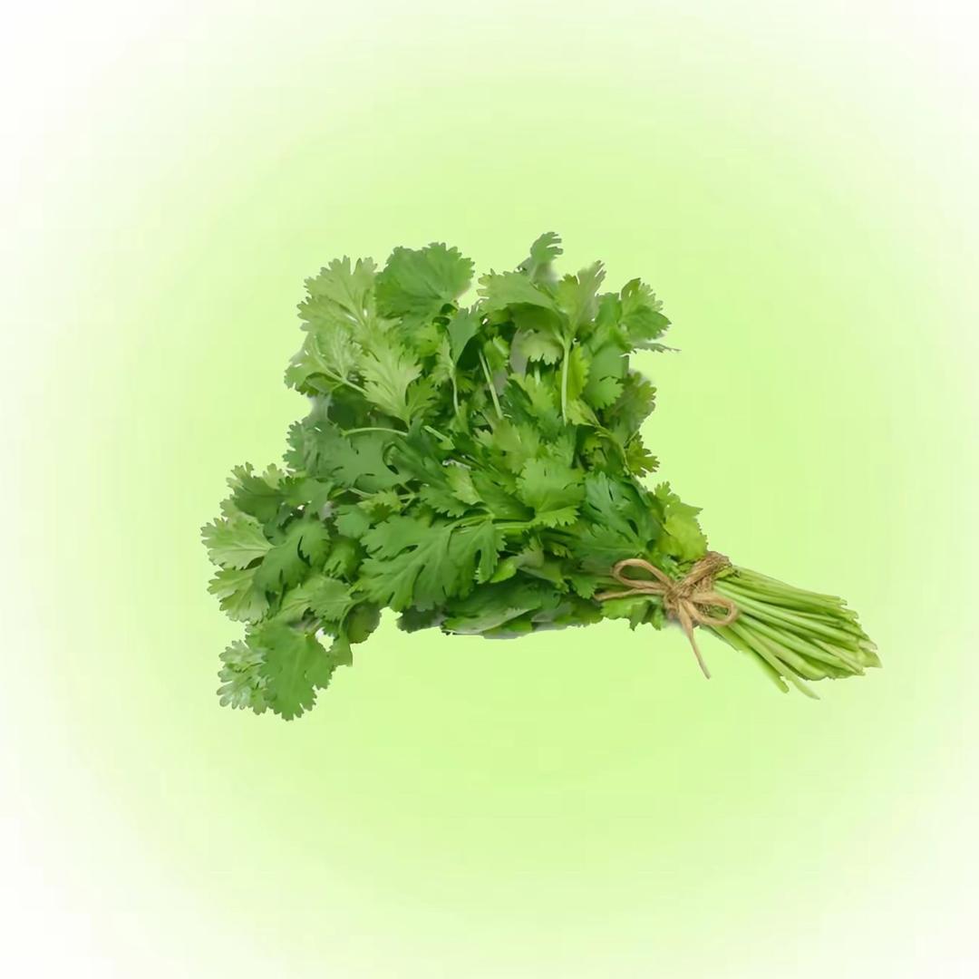 鱼泡头