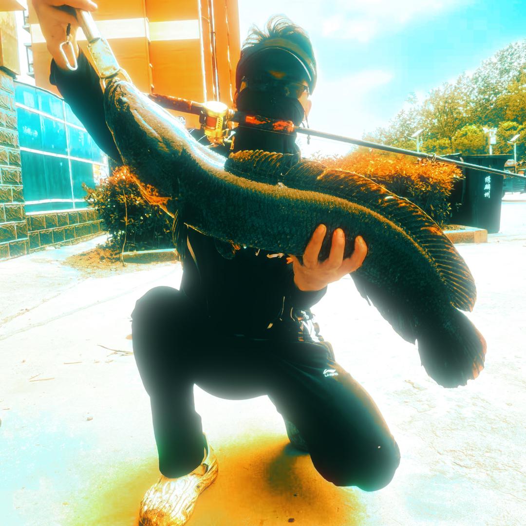 小鱼（不爱钓鱼）