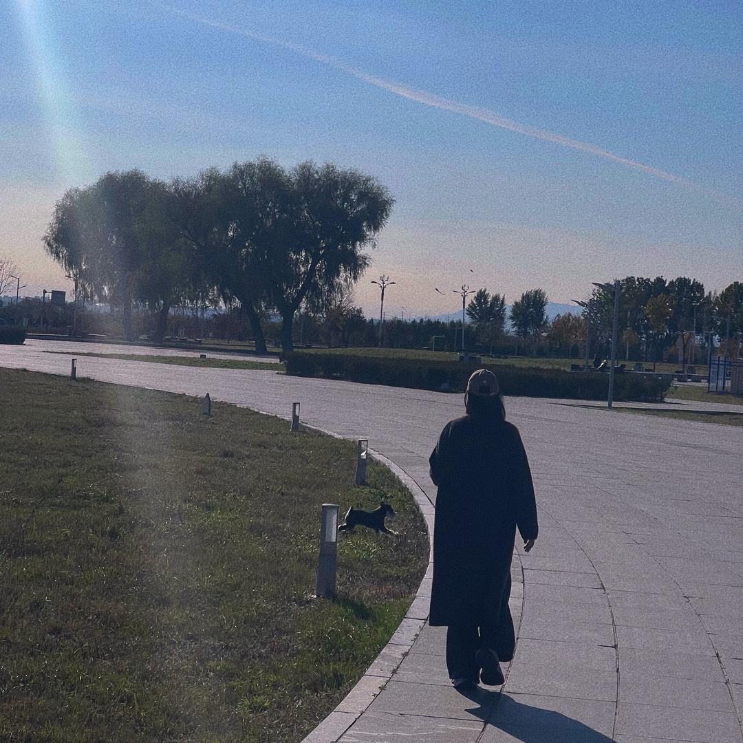 🎄阳小野向前行☀️