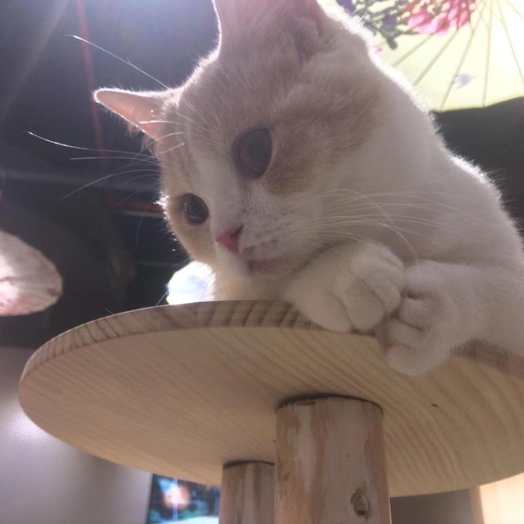 中国境内未醉过