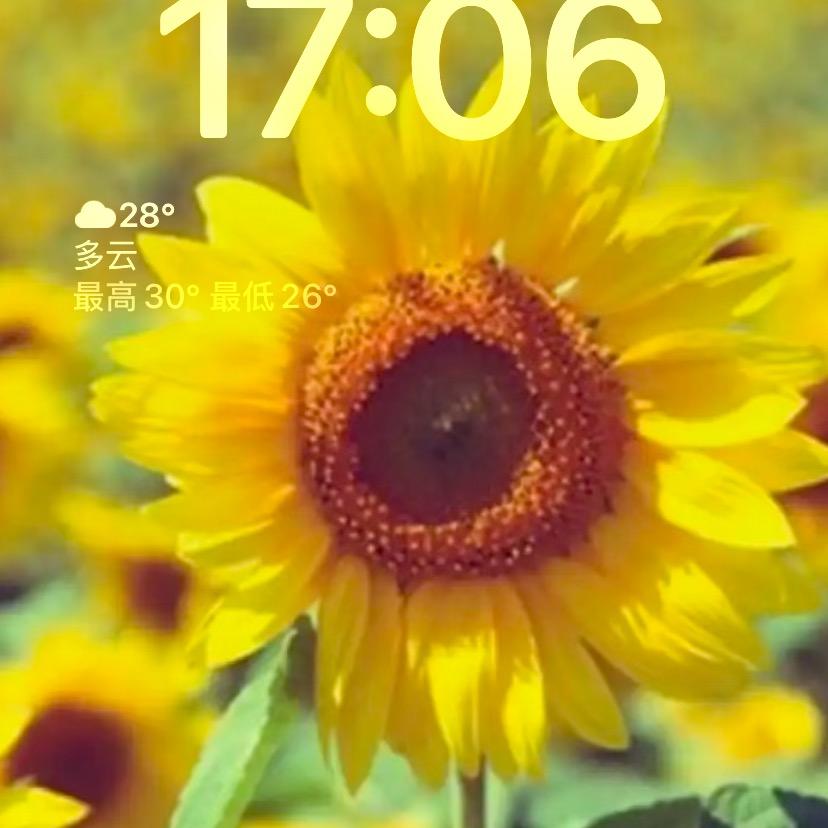 草莓味美式（涨粉1000）