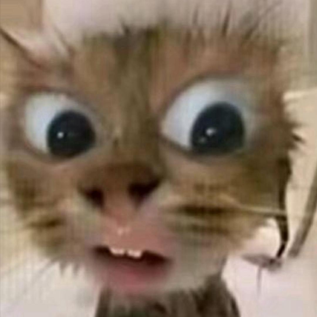 凤凤北鼻╲    ╭╯