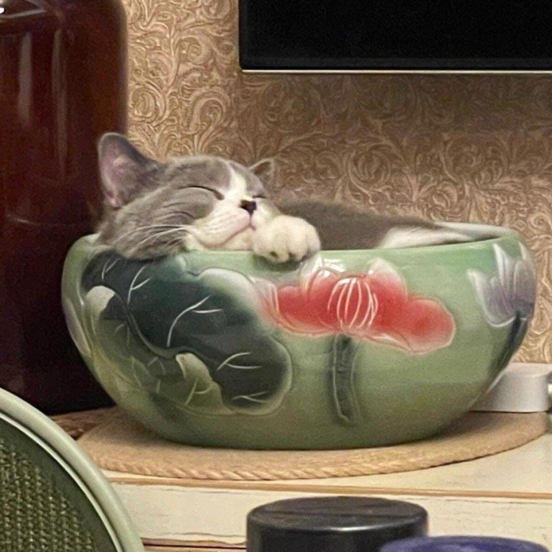 周周有钱花🍀