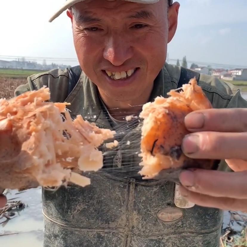 陕西藕哥(鹮乡藕)