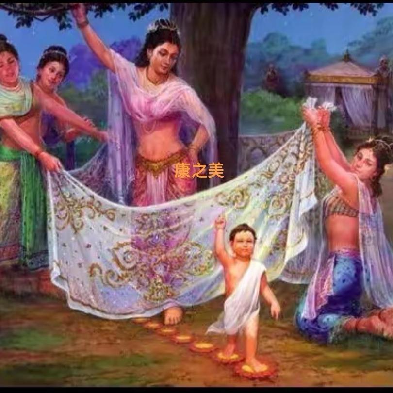 晶菁亮（3号）康之美