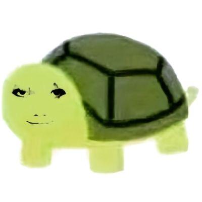 雕泥公龟