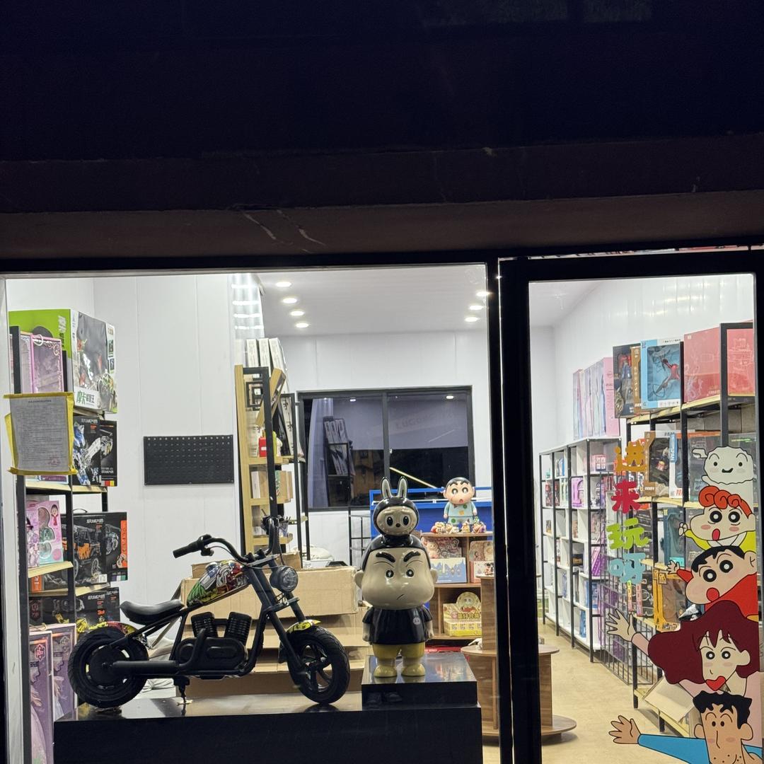 临泉县玩物送智玩具店