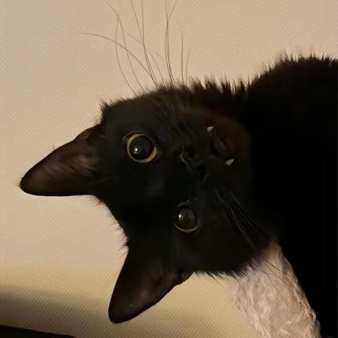 Nnnn