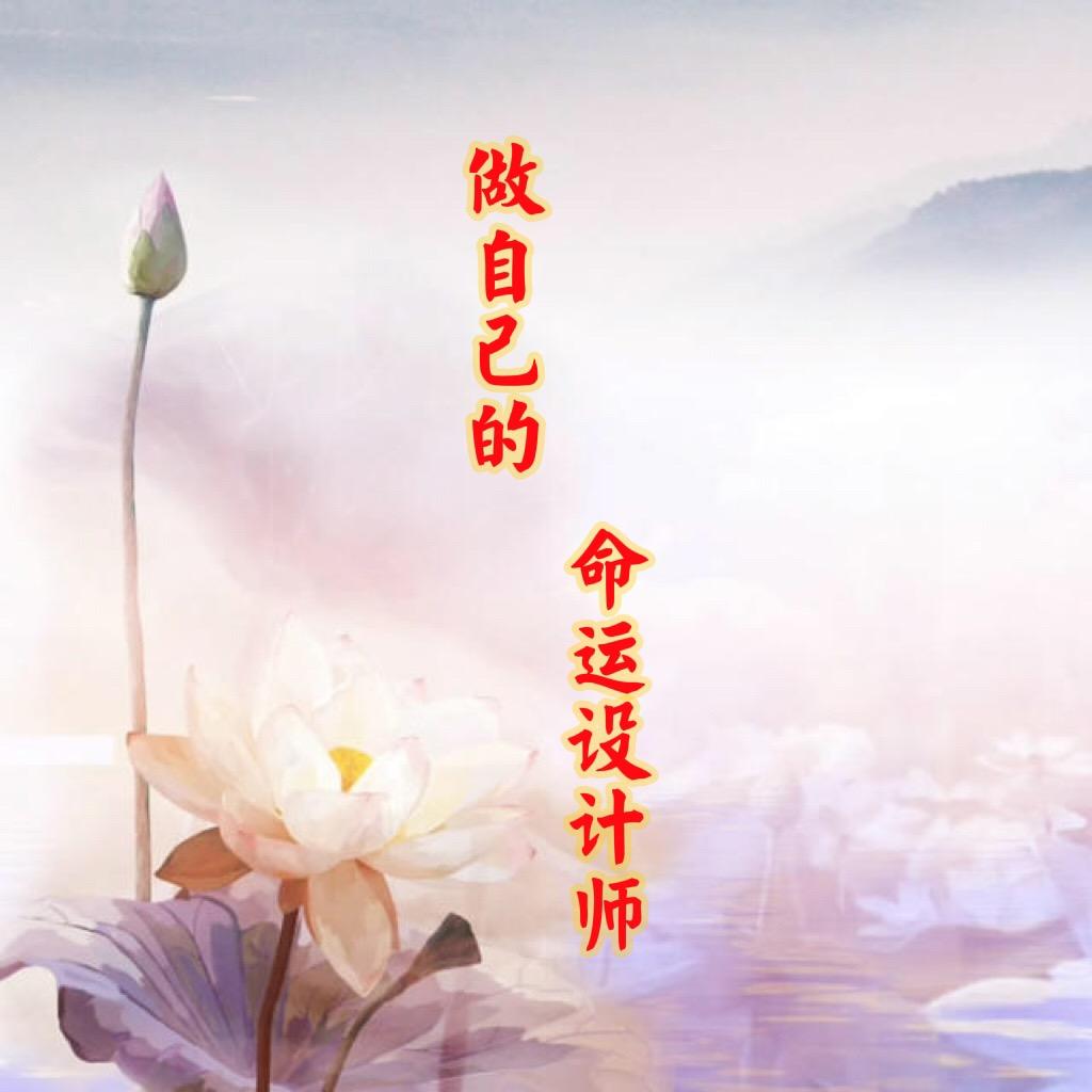 感恩万物