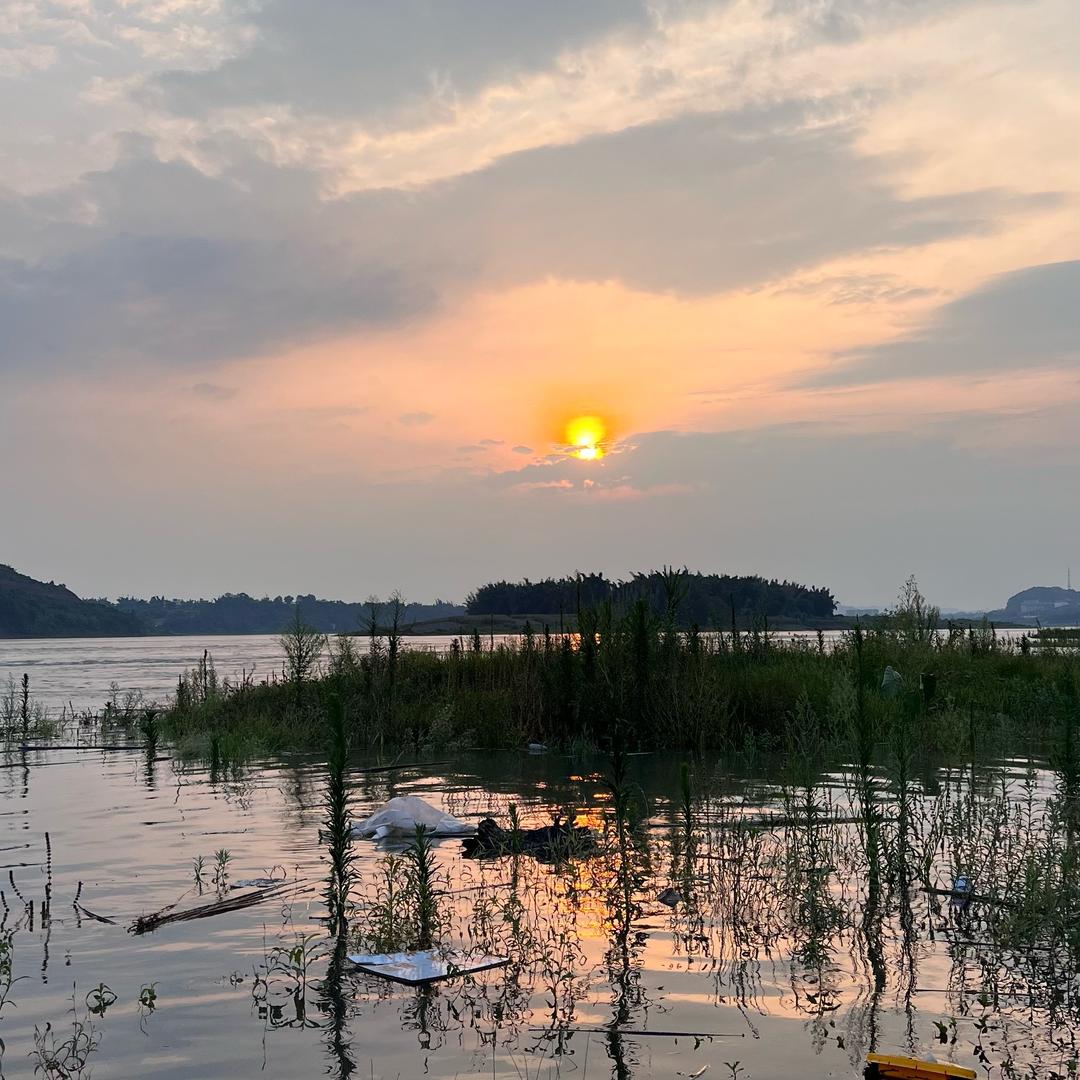 抓鱼宝宝