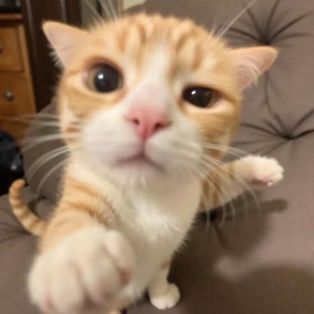 (●─●)好柿花生