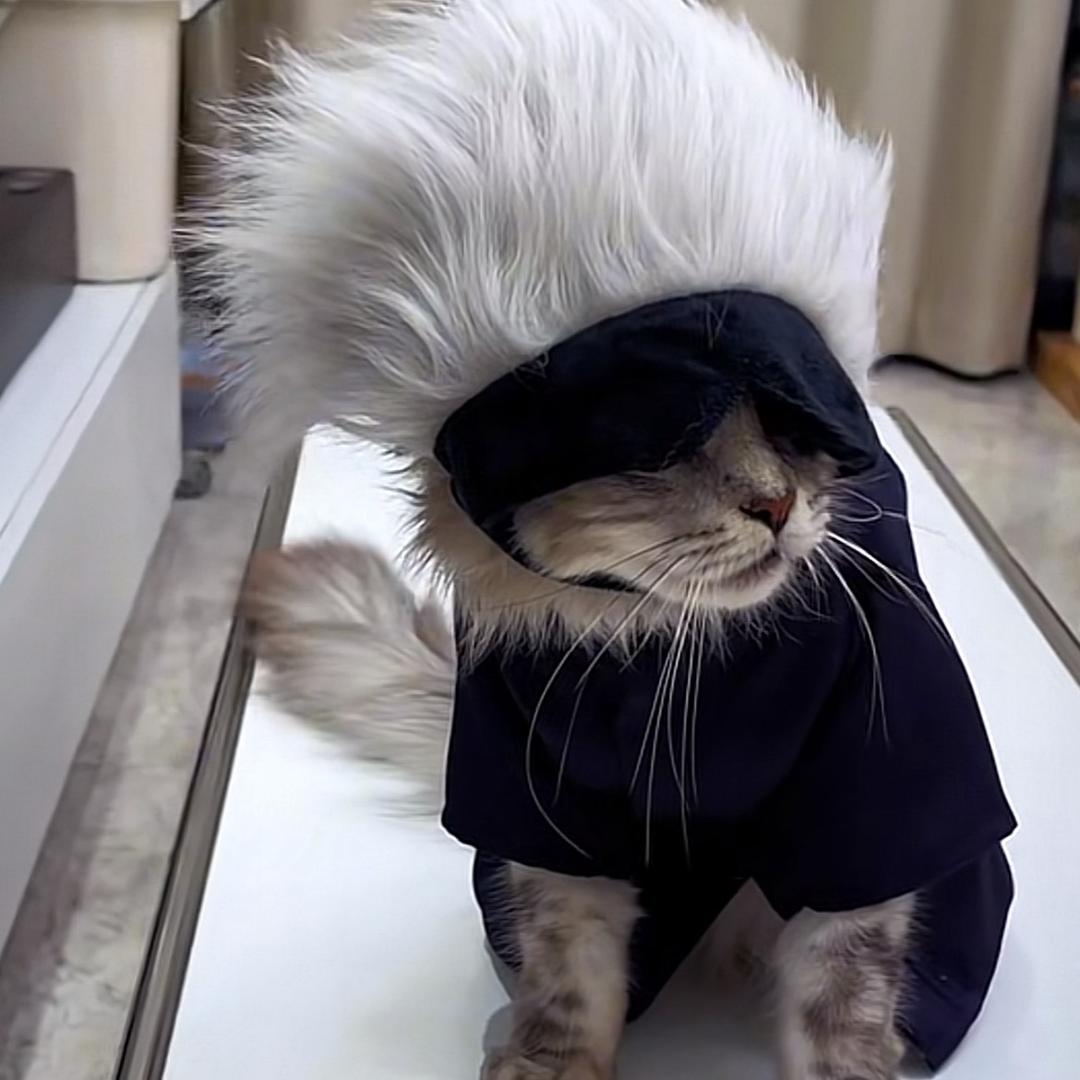 叶黑